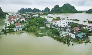 Ninh Bình không phải xả lũ qua tràn sông Hoàng Long