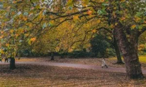 Mùa thu ở xứ cổ tích Edinburgh Mùa thu ở xứ cổ tích Edinburgh